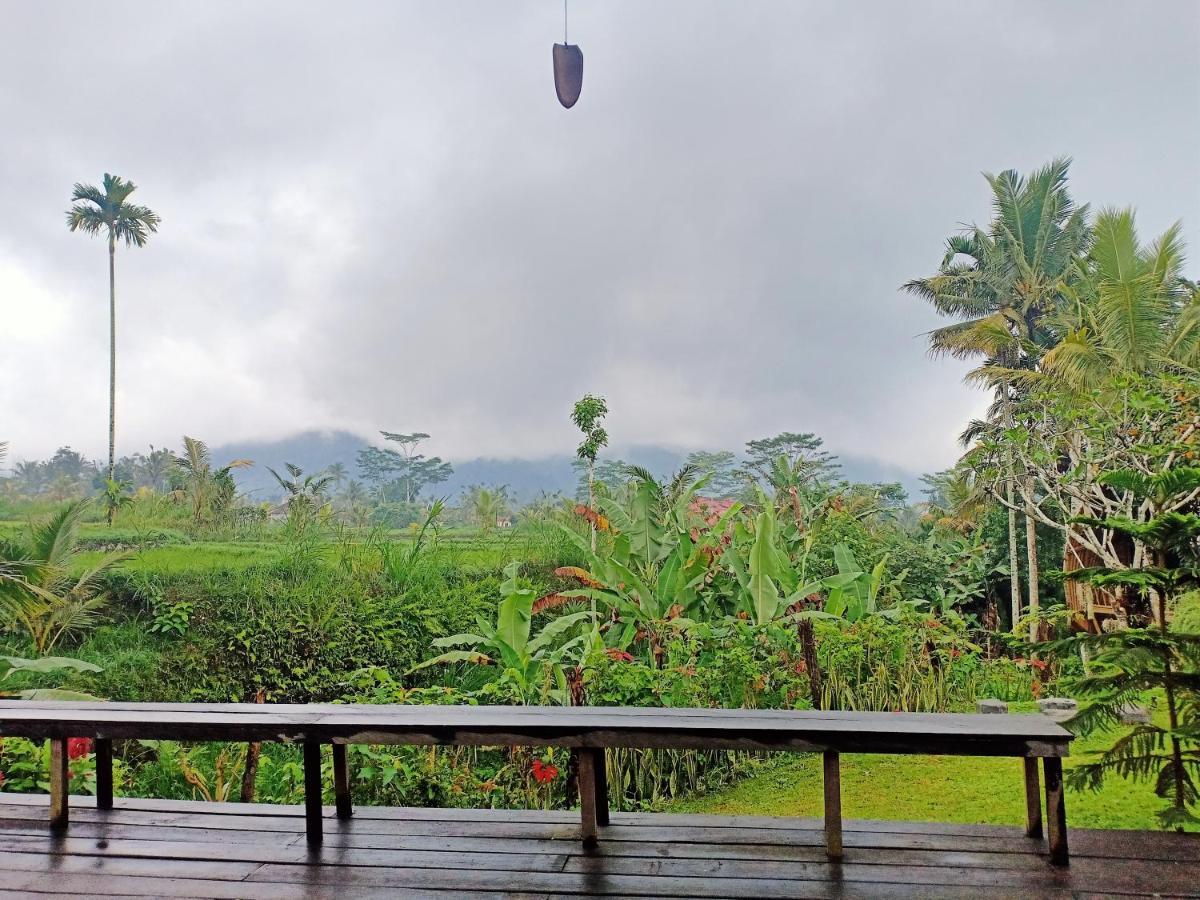 Jero Tumbuk Private Villa Selat 外观 照片