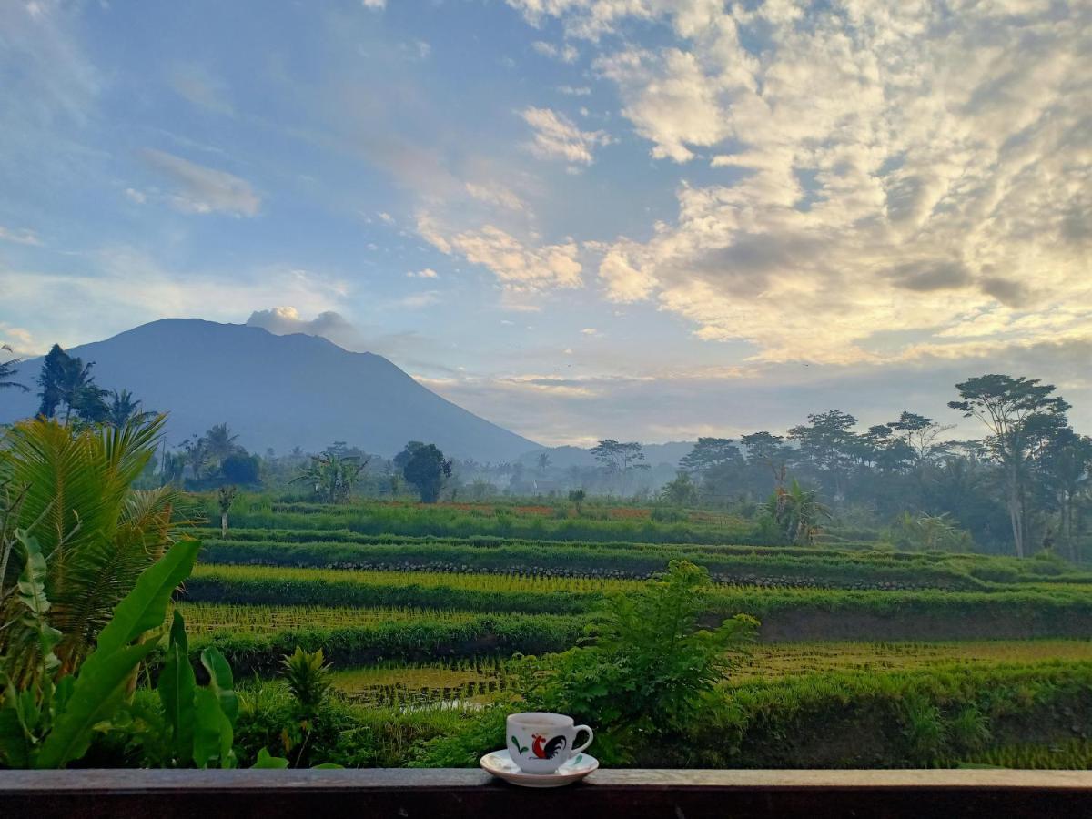 Jero Tumbuk Private Villa Selat 外观 照片