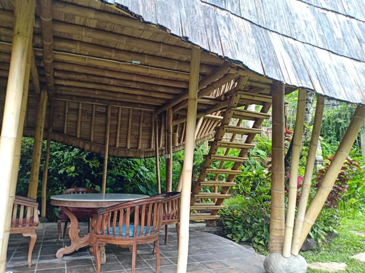 Jero Tumbuk Private Villa Selat 外观 照片