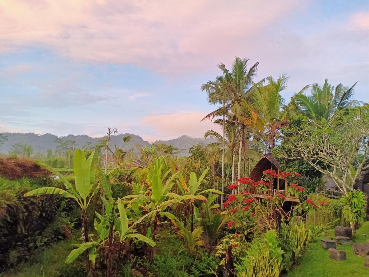 Jero Tumbuk Private Villa Selat 外观 照片