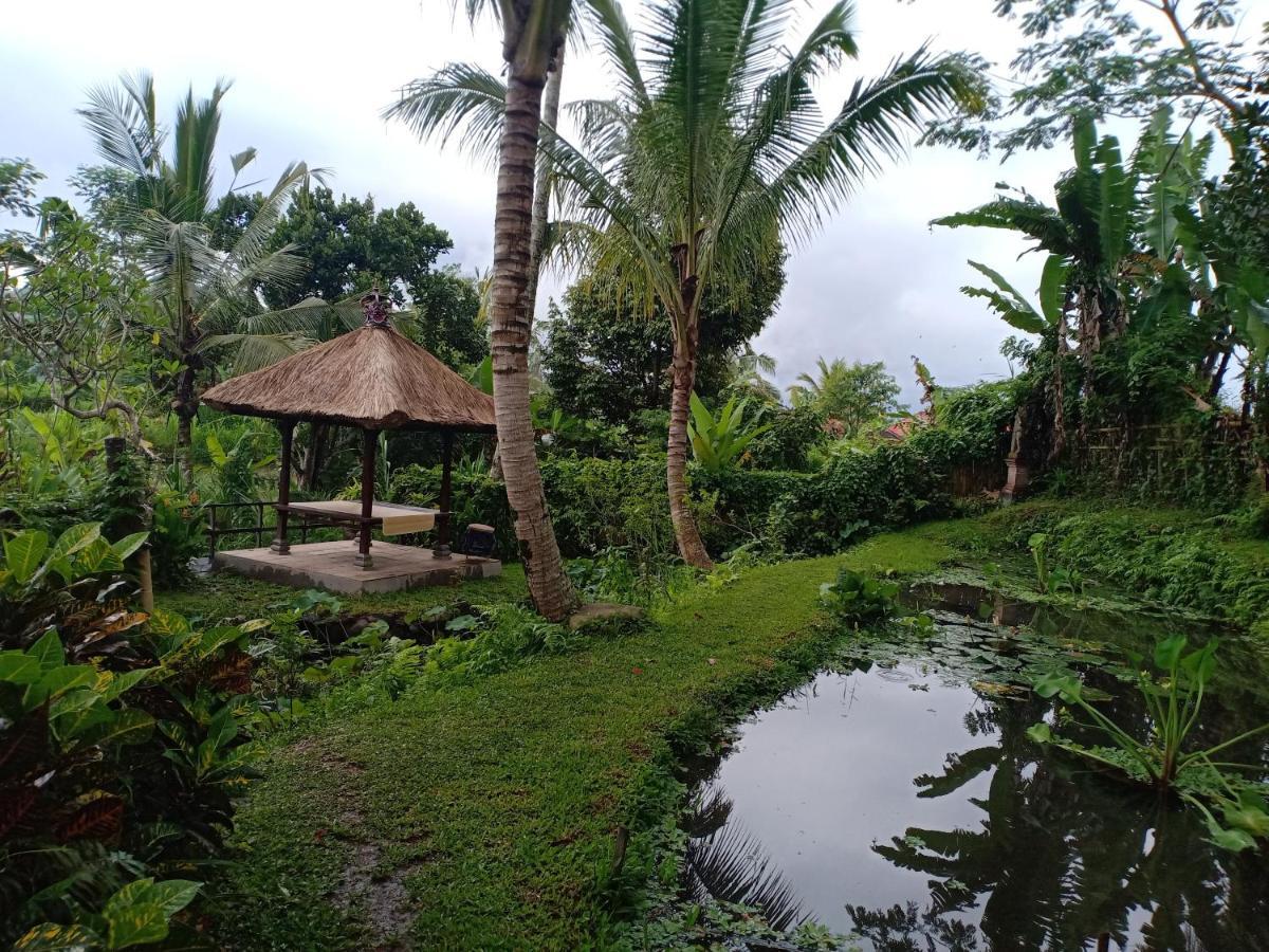 Jero Tumbuk Private Villa Selat 外观 照片