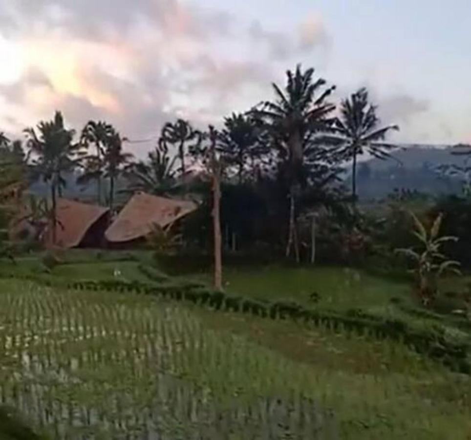 Jero Tumbuk Private Villa Selat 外观 照片
