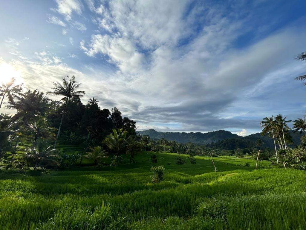 Jero Tumbuk Private Villa Selat 外观 照片