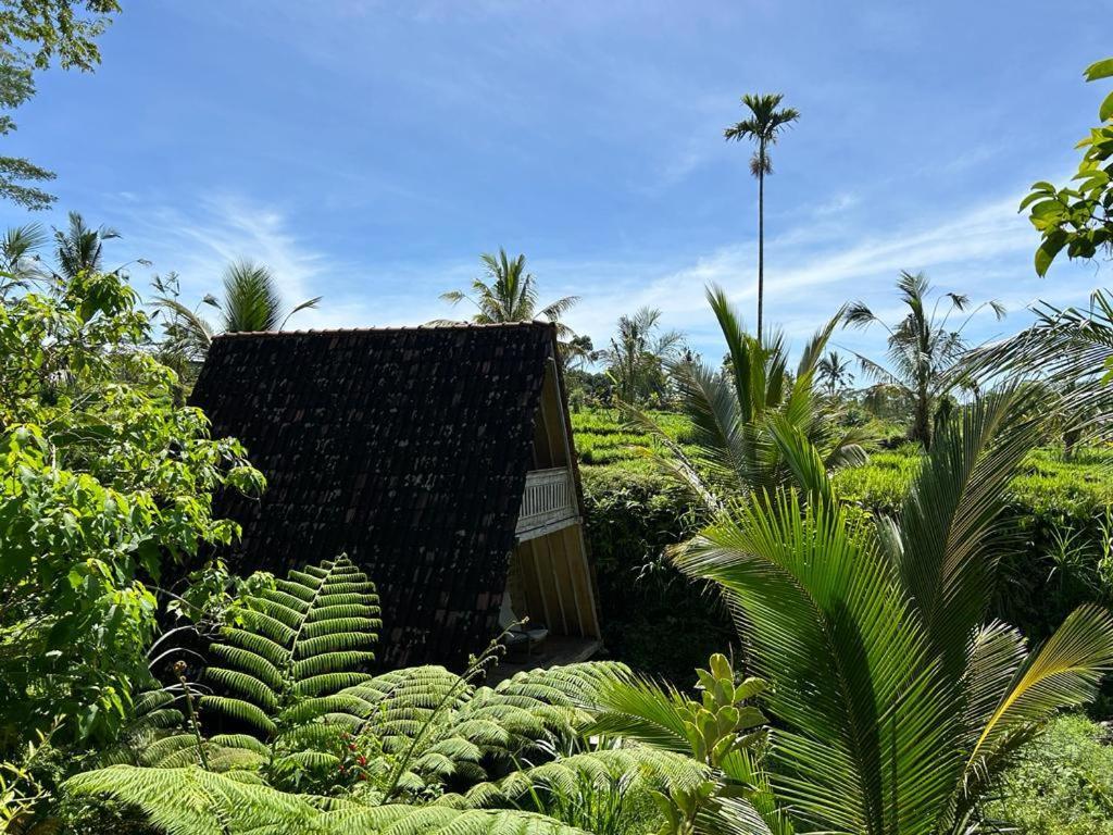 Jero Tumbuk Private Villa Selat 外观 照片