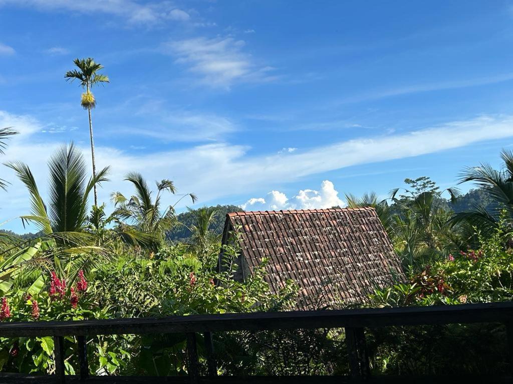 Jero Tumbuk Private Villa Selat 外观 照片