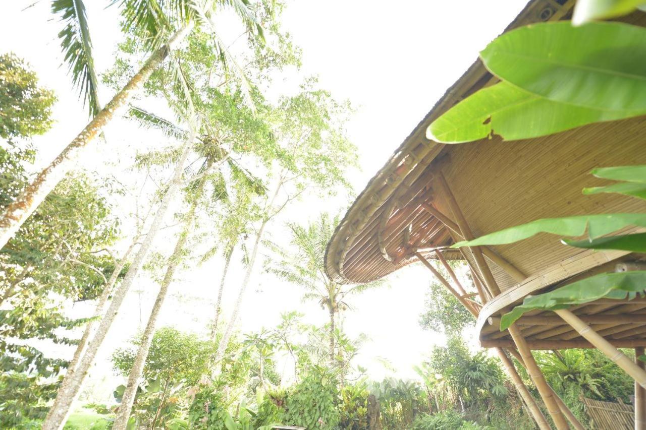 Jero Tumbuk Private Villa Selat 外观 照片