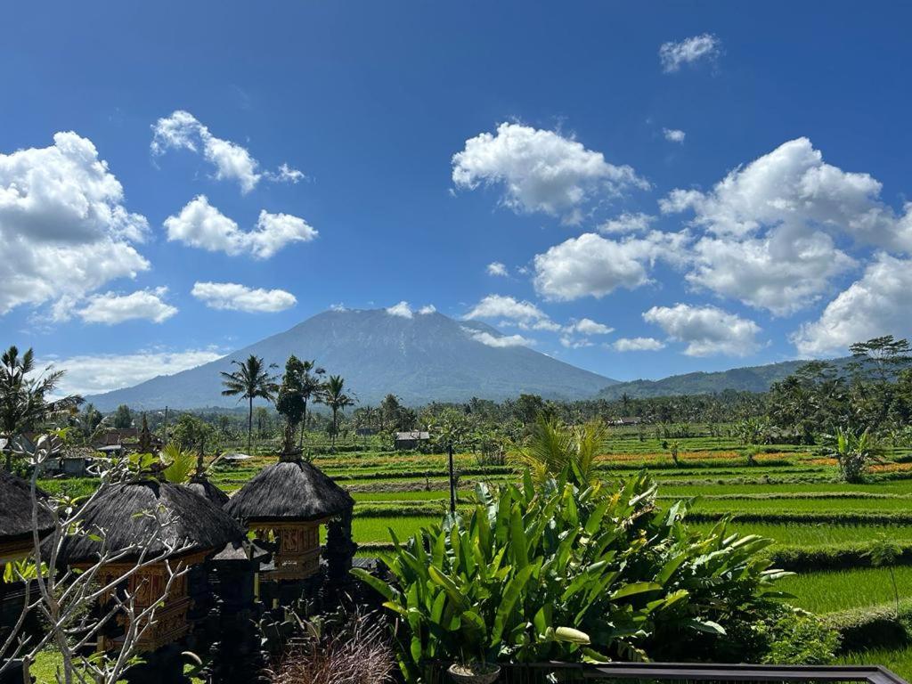 Jero Tumbuk Private Villa Selat 外观 照片